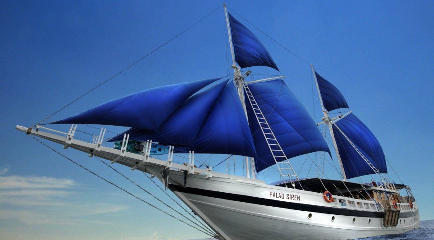 扬帆出海！尊龙官网登录人生就是博登录之家数字化新征程