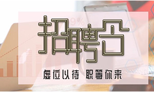 服务商户，，，，，，致力生长&mdash;安徽分公司合肥滨湖店携手优质商户人才招聘会 