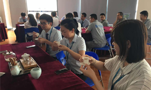 尊龙官网登录人生就是博登录之家湖北分公司2019飞鹰妄想066期之襄阳店开展《茶事礼仪培训》